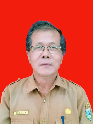Ngaliman, S.Pd.Bio