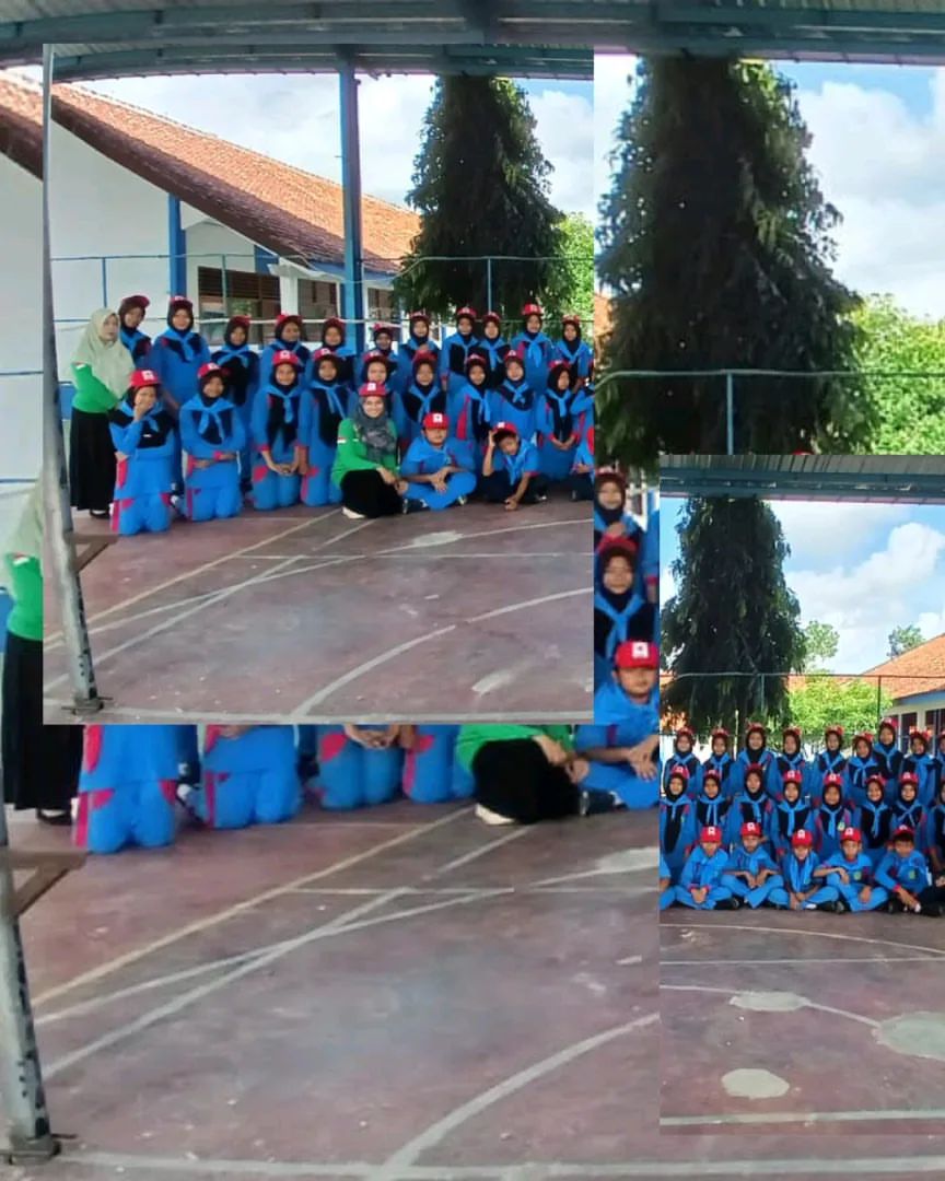 Palang Merah Remaja