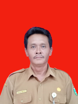 Parab Widodo